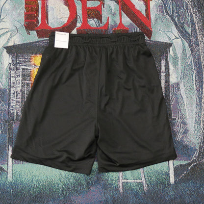 Jordan Essentials 23 Graphic Mesh Shorts