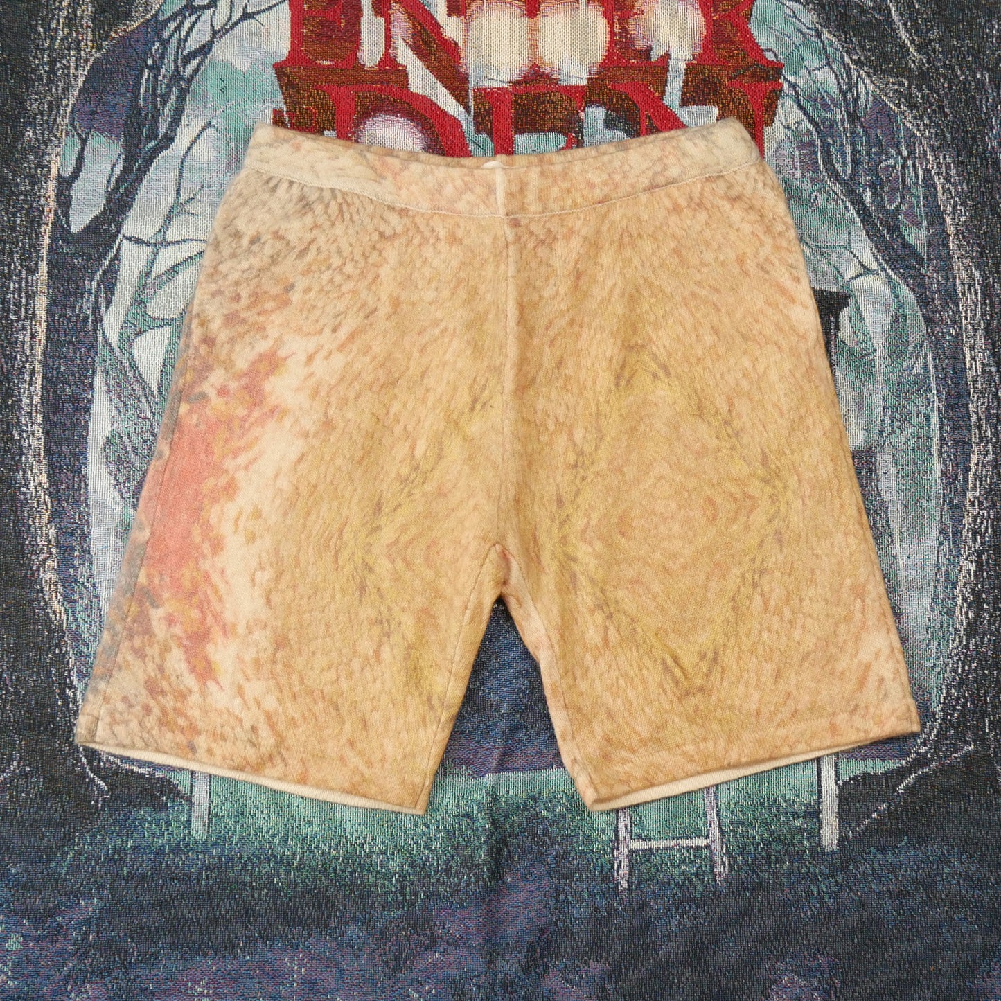Stussy Wings Print Knit Shorts