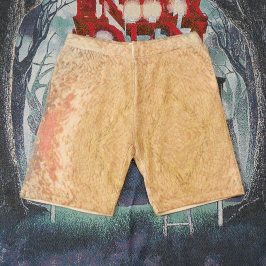 Stussy Wings Print Knit Shorts