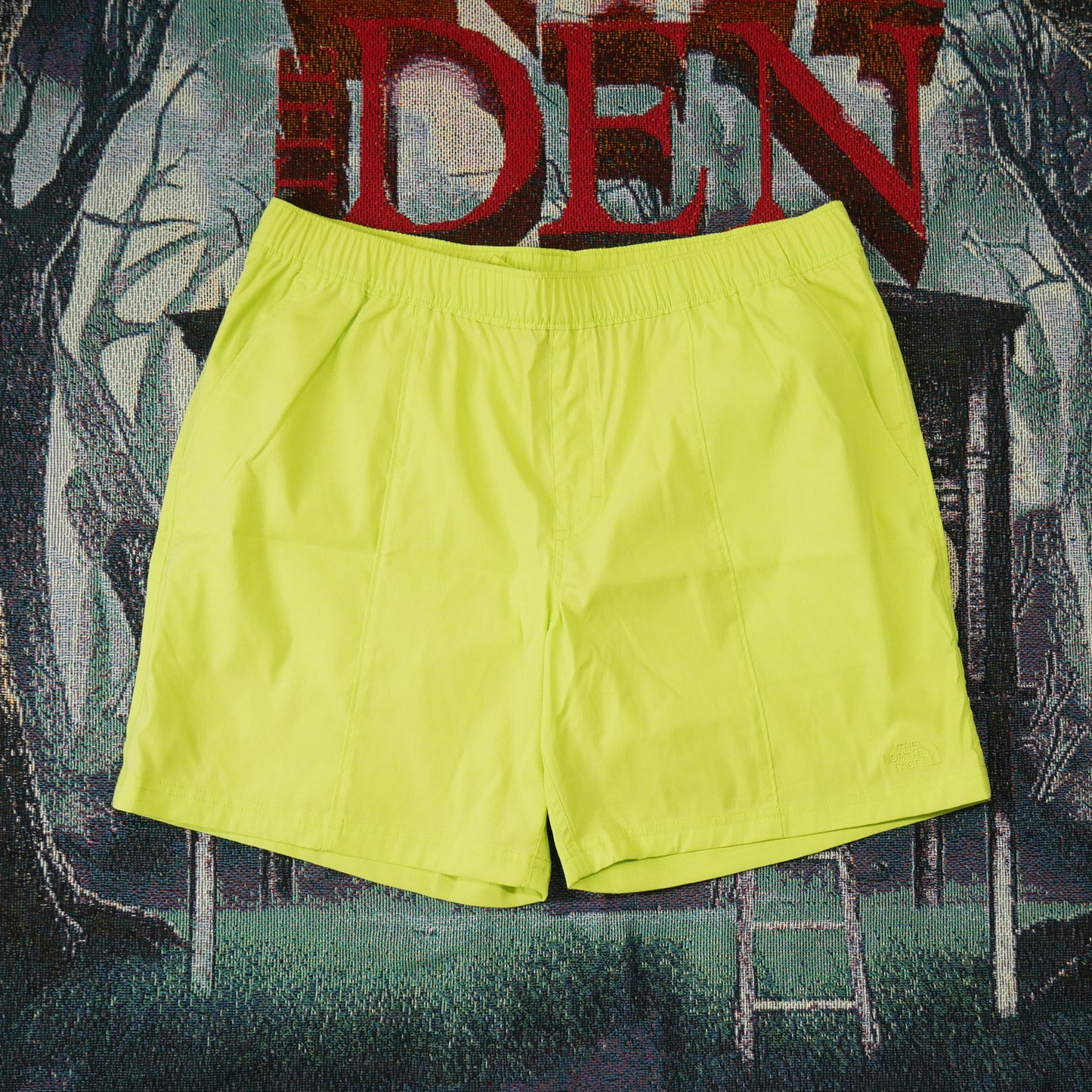 The North Face Class V Pull On Shorts (Sharp Green)