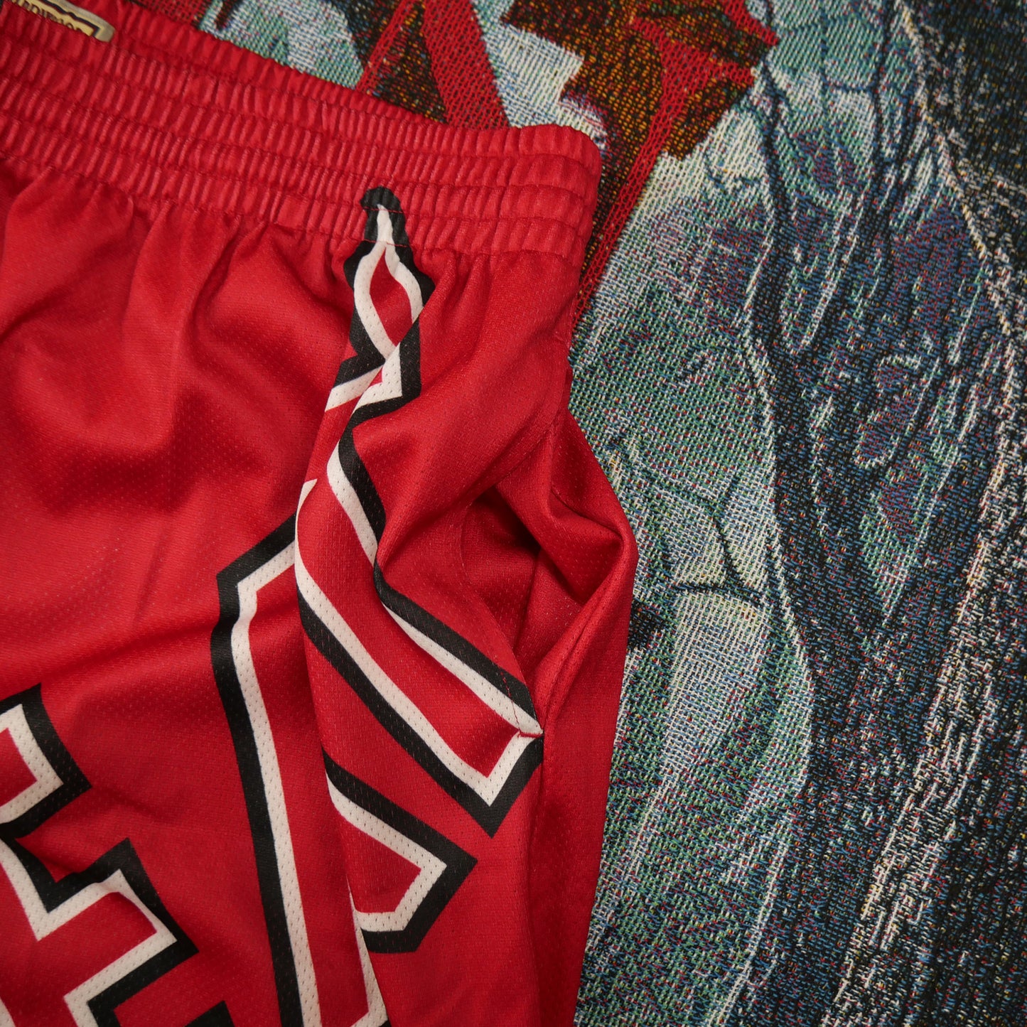 Mitchell & Ness Miami Heat Big Face Fashion Shorts 5.0