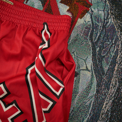 Mitchell & Ness Miami Heat Big Face Fashion Shorts 5.0